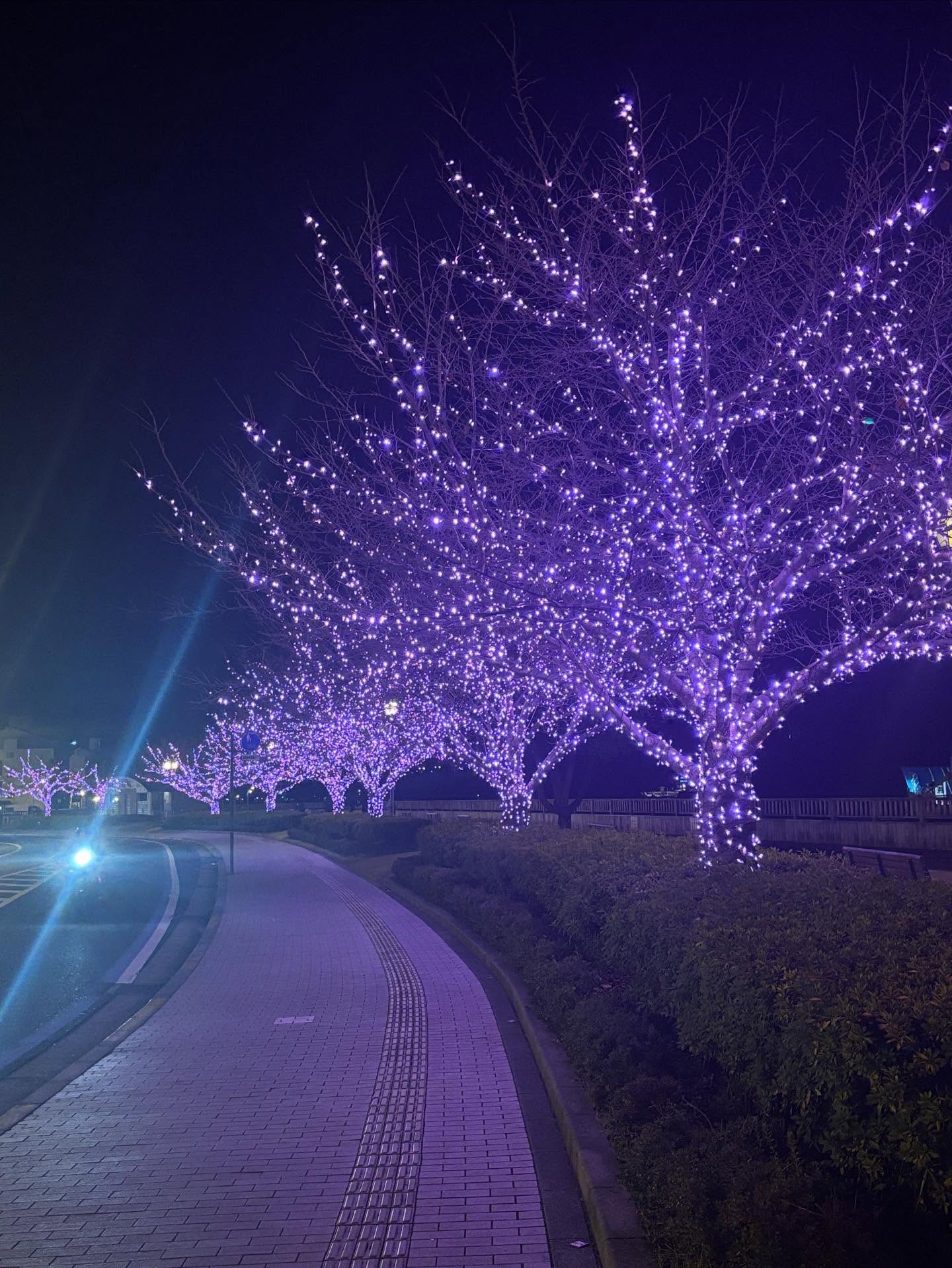 ほぼ同じ場所から昨年も（一昨年？）撮影して投稿しておりました。
尾道、夜の海岸通りを歩いてみる。

#尾道さんぽ 
#イルミネーション